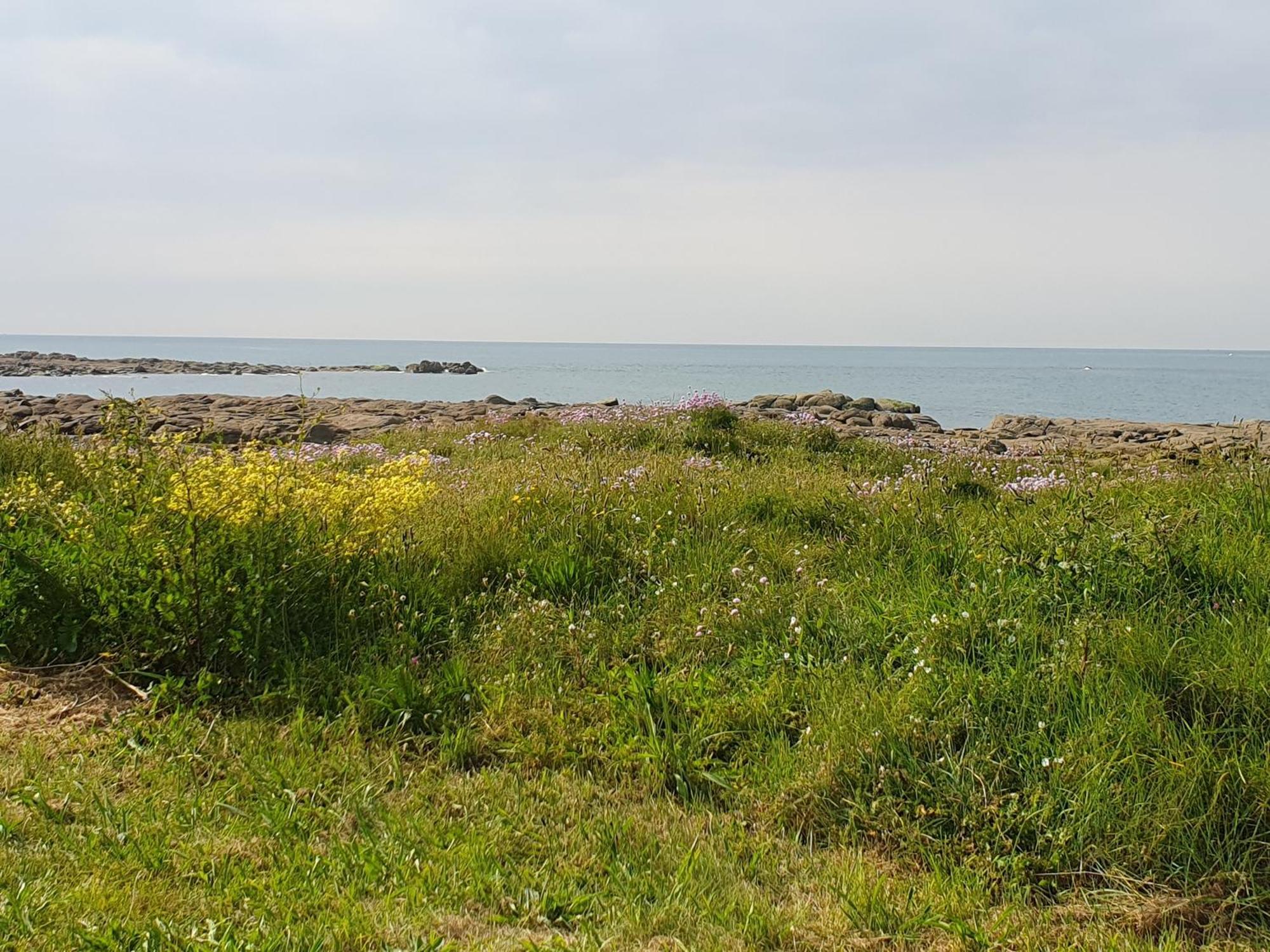Le Relais Du Phare Hotel Gatteville-le-Phare ภายนอก รูปภาพ
